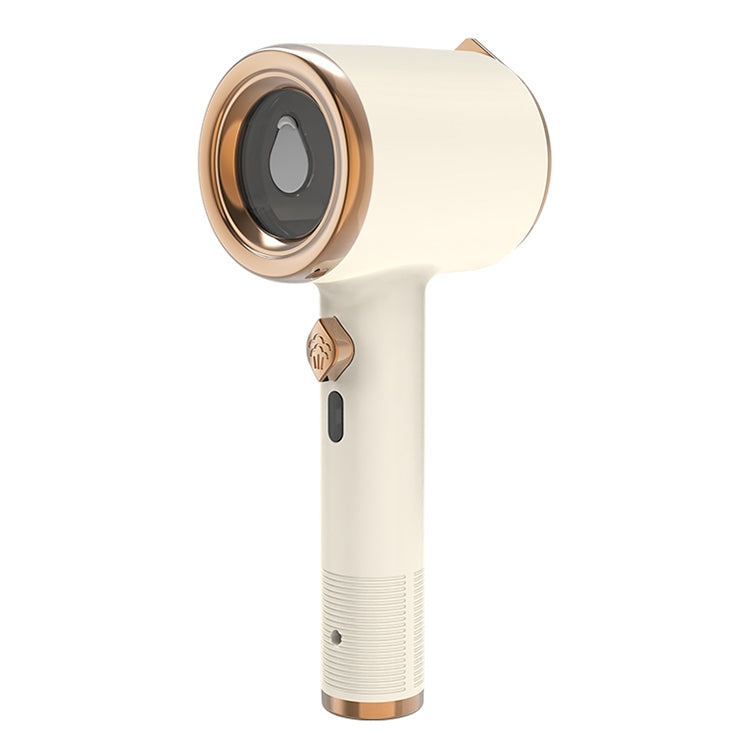 Portable Garment Steamer
