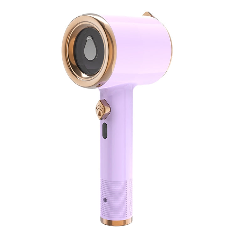 Portable Garment Steamer