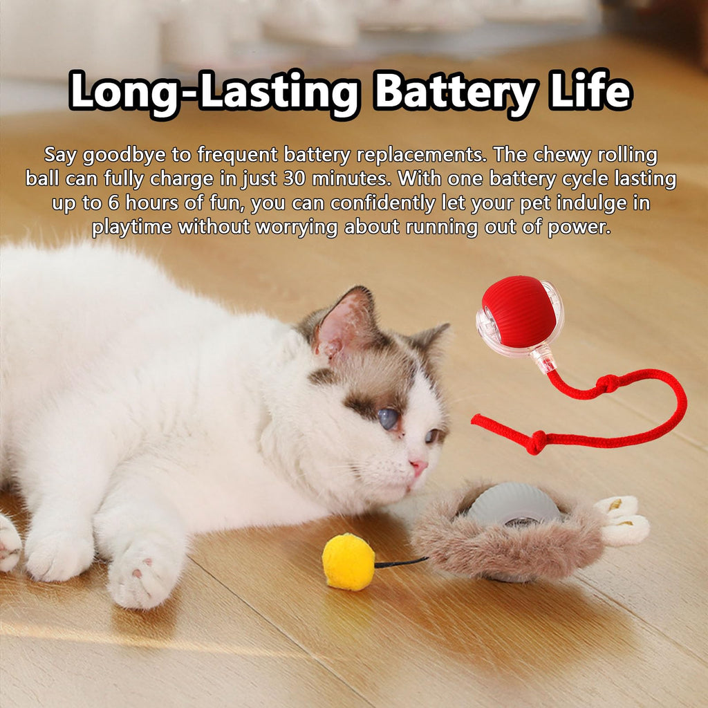 Smart Interactive Pet Ball