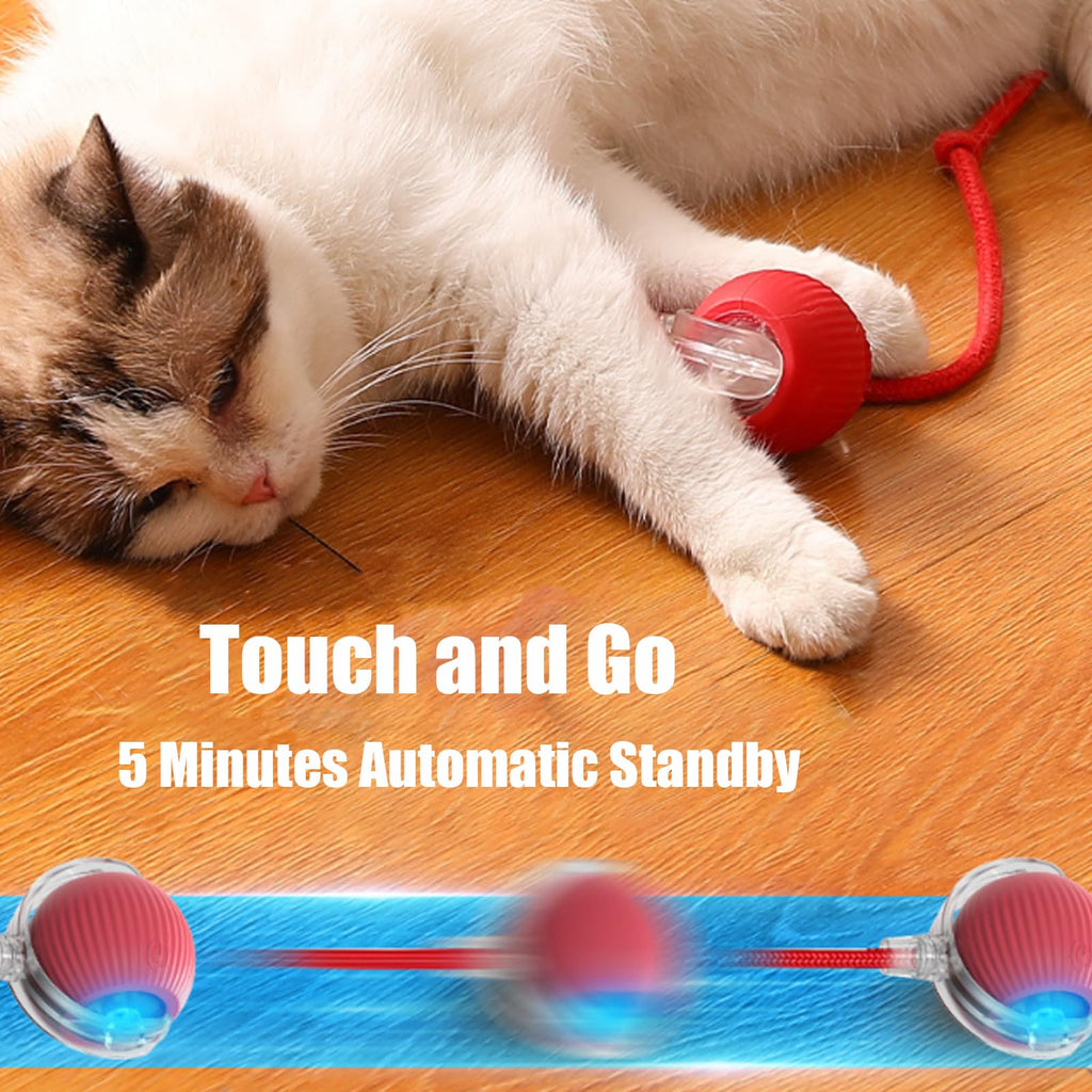 Smart Interactive Pet Ball