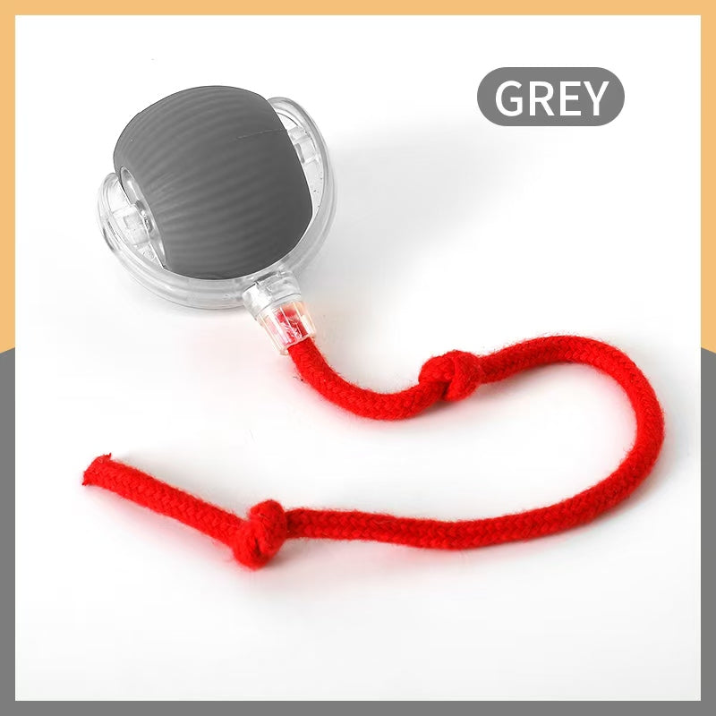 Smart Interactive Pet Ball