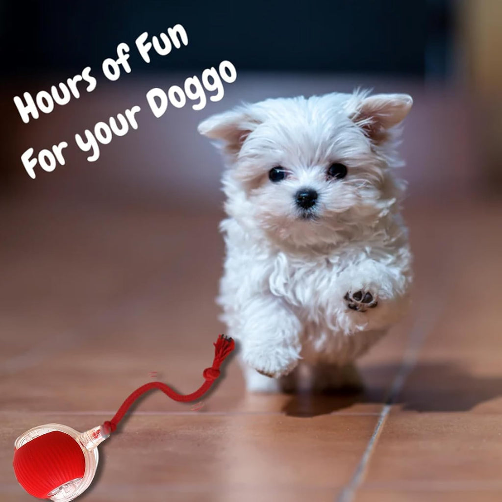 Smart Interactive Pet Ball