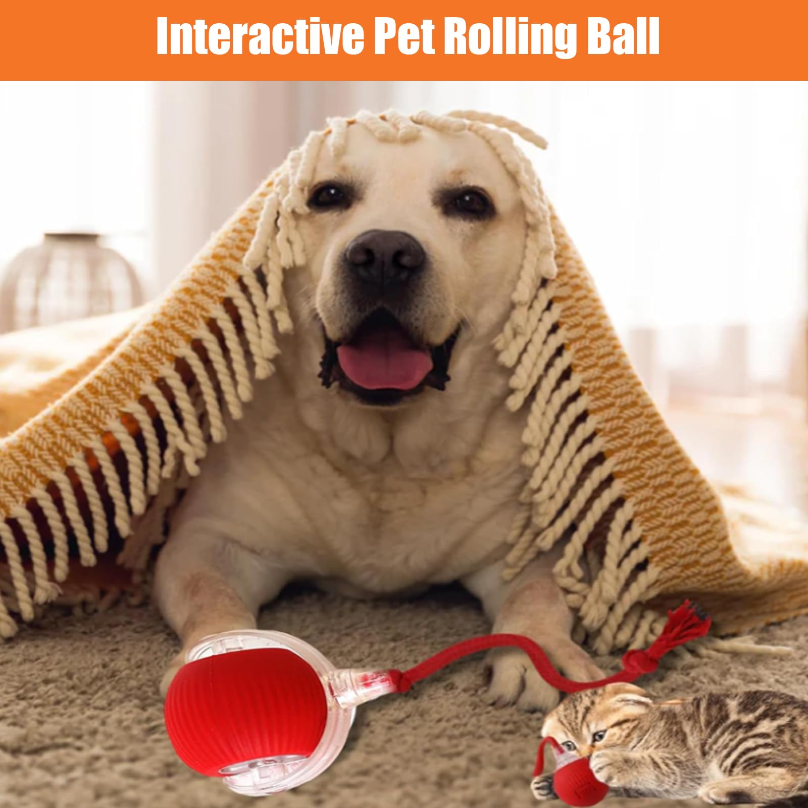 Smart Interactive Pet Ball