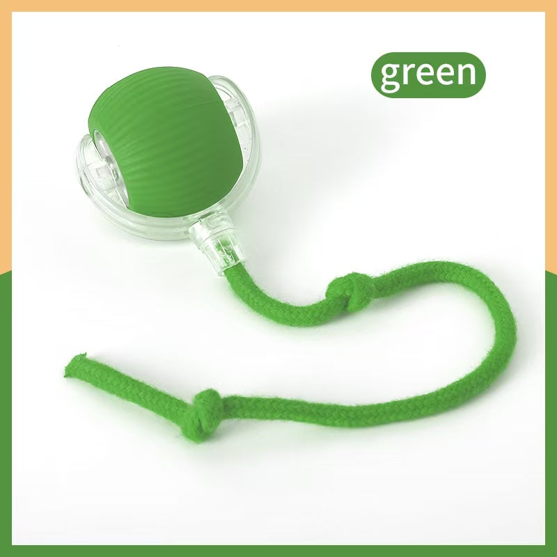Smart Interactive Pet Ball