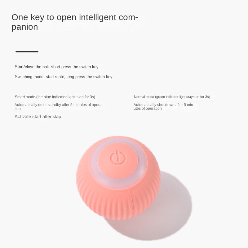 Interactive Rolling Cat Ball