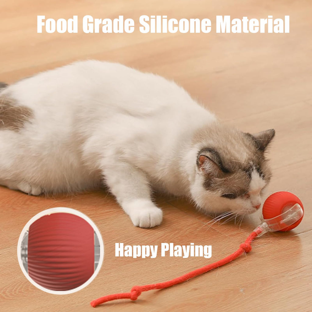 Smart Interactive Pet Ball